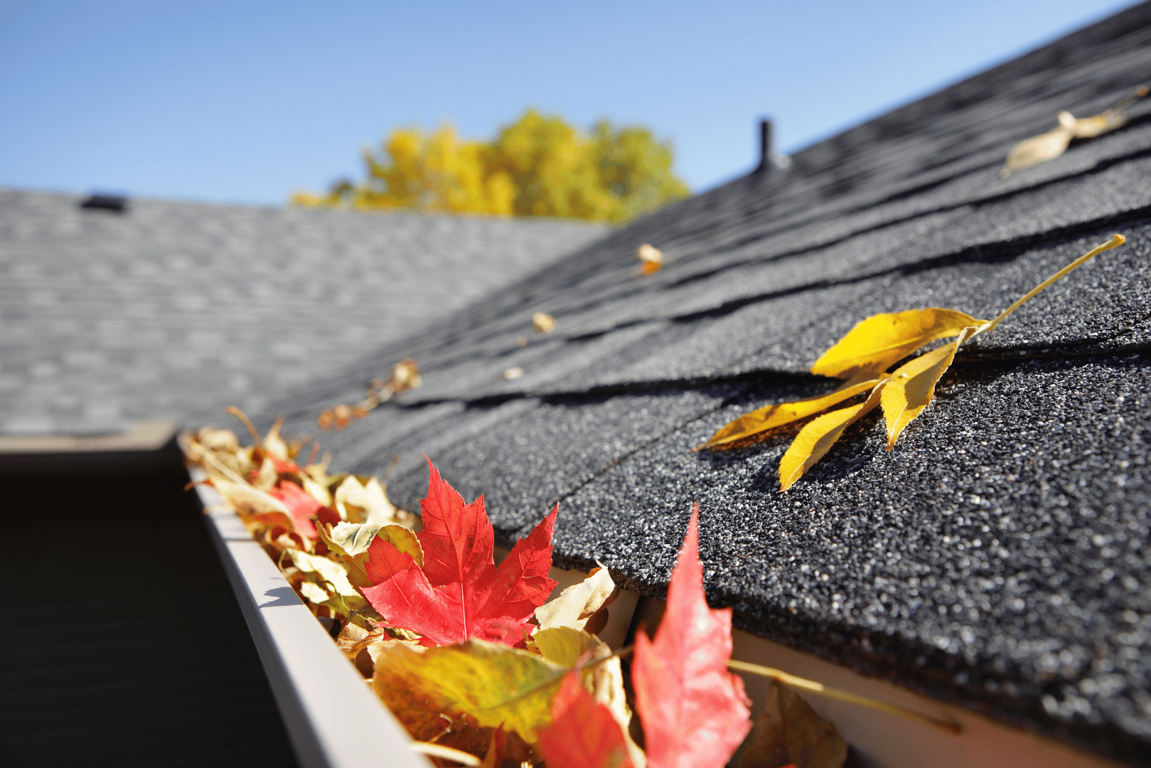 sumner roofing contractor